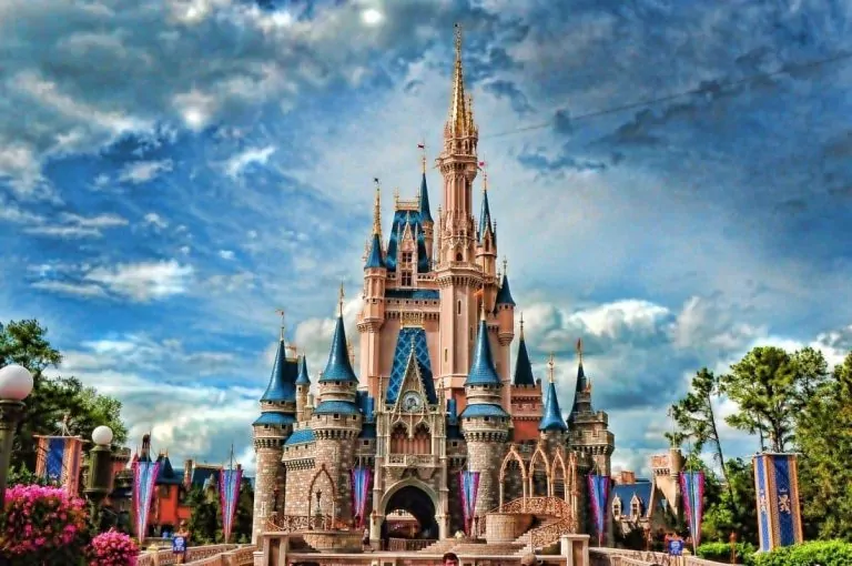 Disney World Orlando Service